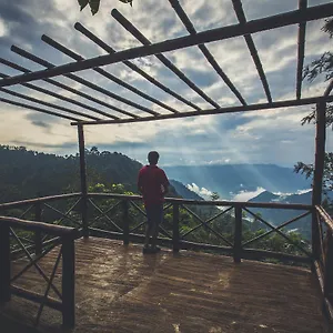 After The Rains - Rainforest Resort
